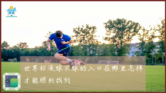 世界杯滚球买球的入口在哪里怎样才能顺利找到