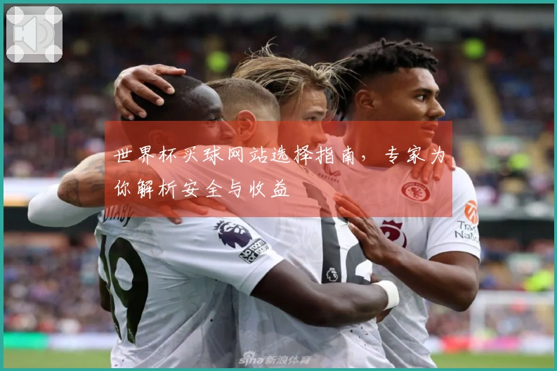 世界杯买球网站选择指南，专家为你解析安全与收益