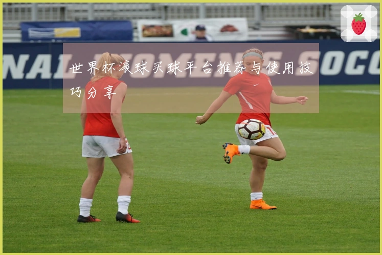 世界杯滚球买球平台推荐与使用技巧分享