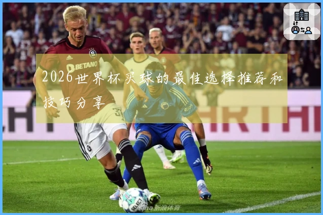 2026世界杯买球的最佳选择推荐和技巧分享