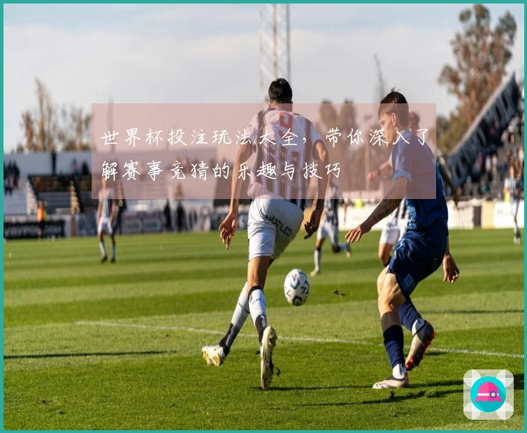 世界杯投注玩法大全,带你深入了解赛事竞猜的乐趣与技巧