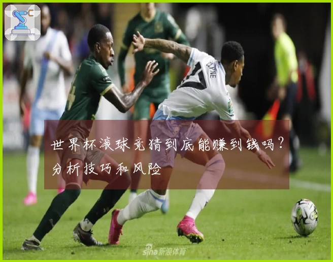 世界杯滚球竞猜到底能赚到钱吗？分析技巧和风险