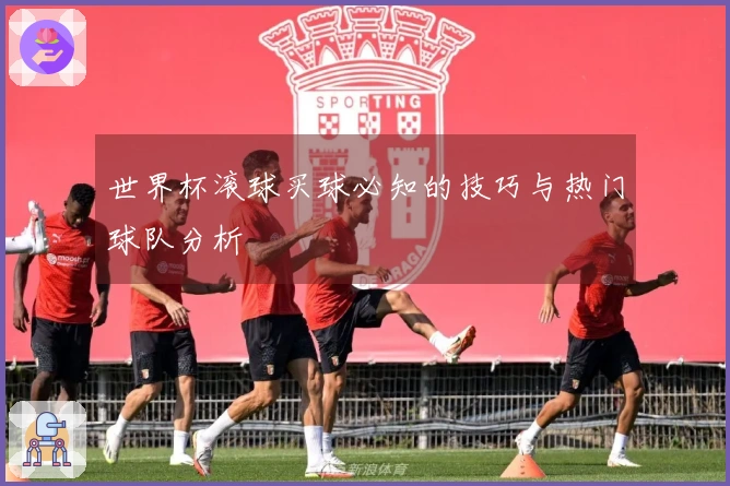 世界杯滚球买球必知的技巧与热门球队分析