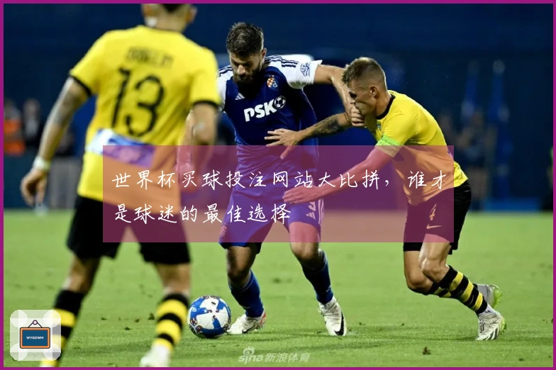 世界杯买球投注网站大比拼，谁才是球迷的最佳选择