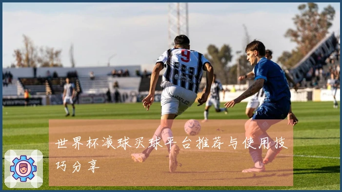 世界杯滚球买球平台推荐与使用技巧分享