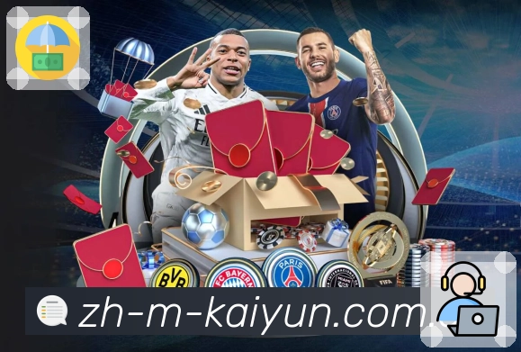 稳定访问登录器